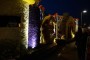 Thumbs/tn_Bloemencorso 2015 238.jpg